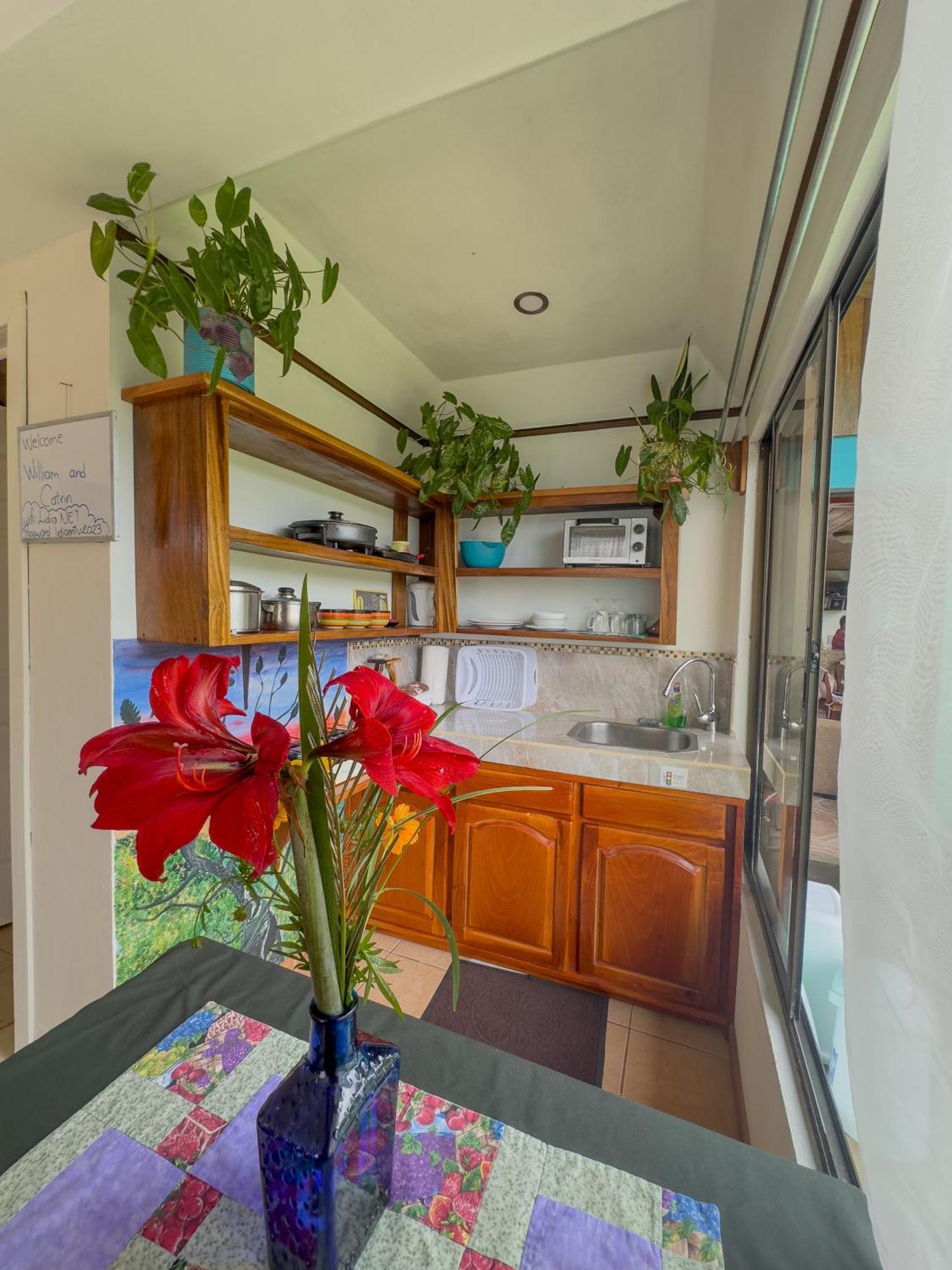 Lidia'S Mountain View Vacation Homes Monteverde Esterno foto